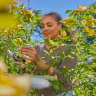 Секатор GARDENA PREMIUMCUT FLEX 12242-90.000.00